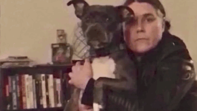 Featured Story Image