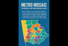 Map showing grouped counties with color-coded regions to indicate different feature groups in the Metro Mosaic series.
