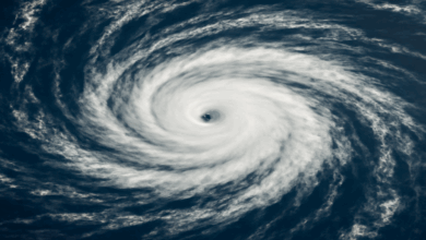 A swirling hurricane with a well-defined eye seen from space, representing Hurricane Erin over the Atlantic Ocean.