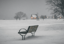 Snow-covered park bench in quiet winter landscape during Winter Storm Fern Atlanta, January 26, 2026—evoking empty streets and MARTA transit suspension amid ice and isolation