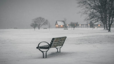 Snow-covered park bench in quiet winter landscape during Winter Storm Fern Atlanta, January 26, 2026—evoking empty streets and MARTA transit suspension amid ice and isolation