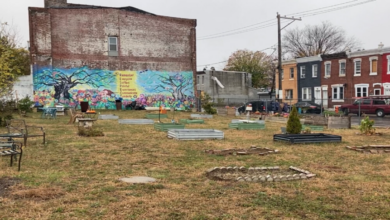 North Philly Vacant Lot