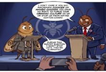 Burt Jones and Rick Jackson spoof