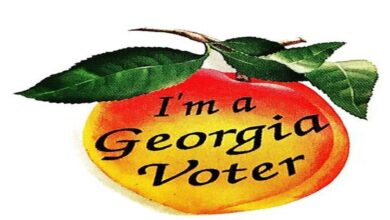 Georgia Voters