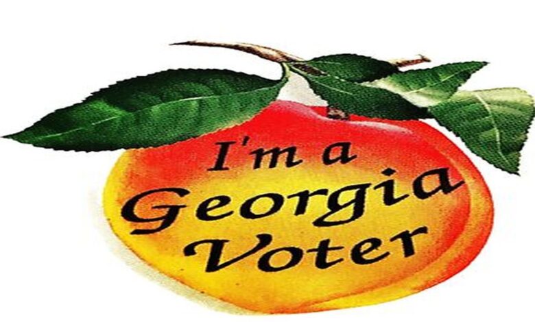 Georgia Voters