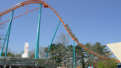 Goliath Roller Coaster at Six Flags Over Georgia